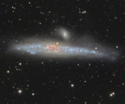 NGC 4631 - The Whale Galaxy